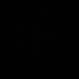 Sorry Not available! - Women’s Lauren Bermuda shorts